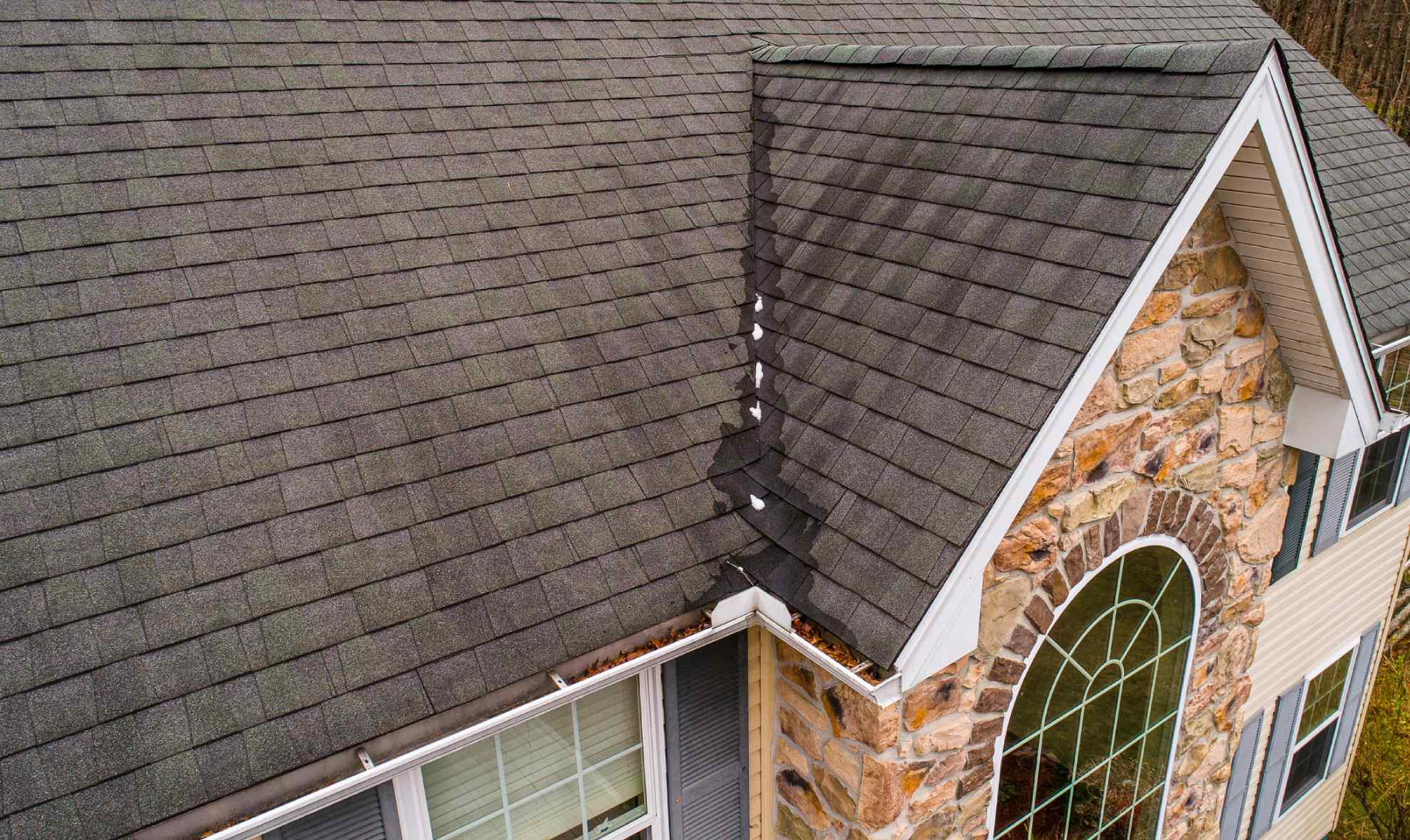 Roof & Gutter Cleaning